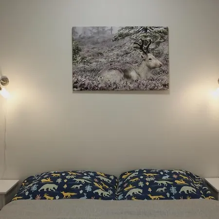 Lapland Happiness Skistar 113 アパート *